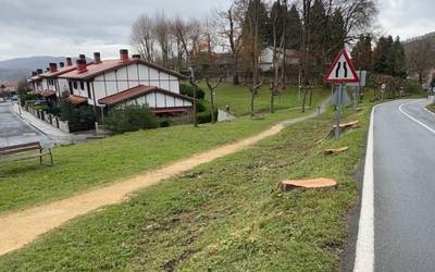 Aldunditik ziurtatu dute herri sarrerako astigarrak gaixorik zeudela eta arrisku iturri izan zitezkeela