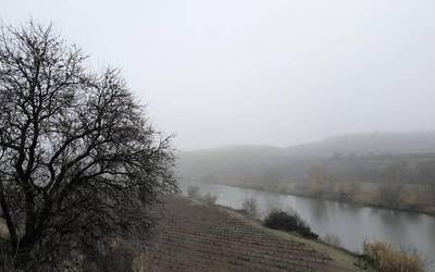 Laino iraunkorrak, leku askotan