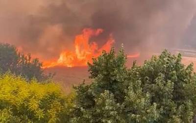 Mendiko suteen kontrako udal ekintza plana aurkeztuko dute bihar Arantzan