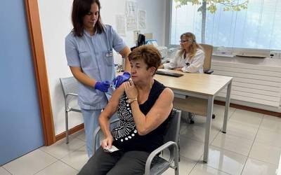 Gripearen intzidentziak gora egin du Araban