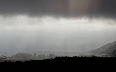 Giro griskara ez da desagertuko