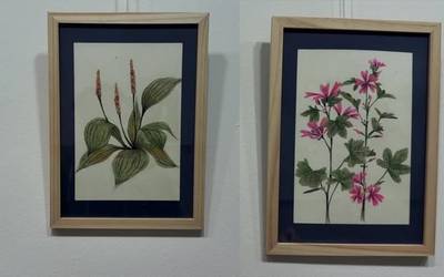 'Sendabelarrei begira' erakusketa dago Arkupen hilabete bukaera arte