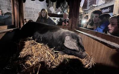 Erraldoi eta kilikien dantzek 'Meri Xendo' erakarri dute Herriko Plazara