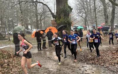 Dantzalekun, lohian eta eurian hegan