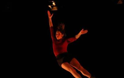 Maluta zirkuaren  XI. edizioa, ate joka