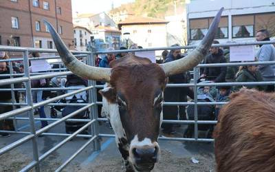 Animaliarik gabe egingo dituzte Gabon Zahar eta Zoro Feri azokak