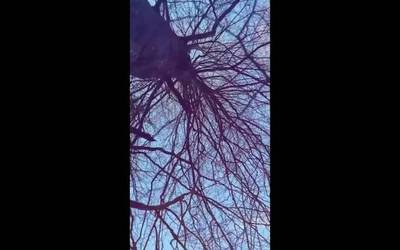 'Neguko solstizioko atea' ipuina sortu dute Mendaron