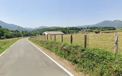 Urtarrilaren 7an hasiko dute Nafarroaren iparralde osoan dermatosi nodularraren aurkako txertaketa kanpaina