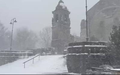 [BIDEOA]: Elurrak dena estaltzen duenean