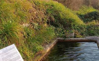 Uraren Euskal Agentziari zuzendutako erreklamazioa