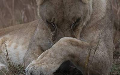 Jon Batiz argazkilari zornotzarraren Afrikako argazkiak ikusgai Zelaietan