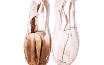 Gazte agenda, dokumentala eta zirku ikuskizuna