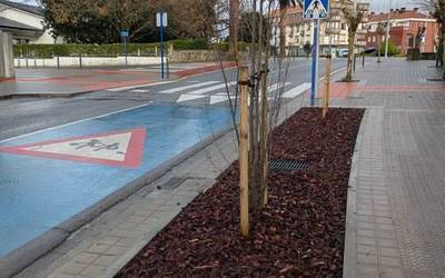 Sopelak hiriguneko zuhaitzak hobetzeko proba pilotua bukatu du