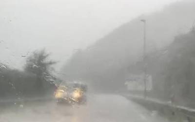 Trafiko arazoak izan dira hainbat errepidetan zuhaitz erorketak eta lurjausiak gertatu direlako