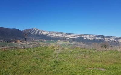 Etxauriko Sarbilen azpiegitura fotovoltaikoa ezartzearen aurka