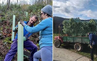 Denboraldiko lehen zuhaitz landaketa egin zuten zapatuan Muskiritzun