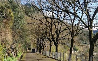 Kimatze lanetan jardun dute beharginek azken asteotan