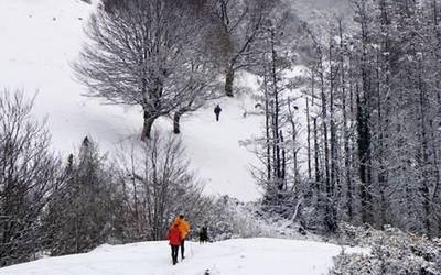 Espero gabeko elurtea