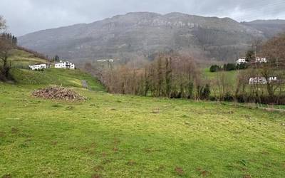 Basoko urak direla eta