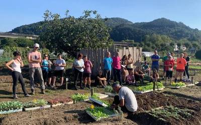 Bihar amaituko da herri baratzeetarako eskaerak aurkezteko epea