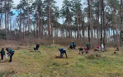 Kukuerrekaren landaketa