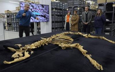 Bisonte baten hezurdura opatu dute Urbasako leze batean