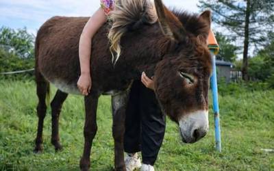 Denboraldi berria abiatu du Gauekoak gazteentzako aisialdi programak