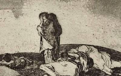 Gerraren hondamendia, Arabako campusean