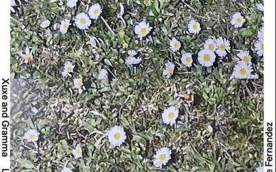 Jone Erzillak 'Yung Urkiolamendi' erakusketa jarriko du ikusgai Zaldibarko Xerran