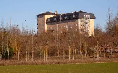 Tropen mugimendua egin nahi dute Loiolatik Arakara