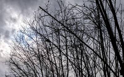 Ostarteak, bai eta zaparradak ere