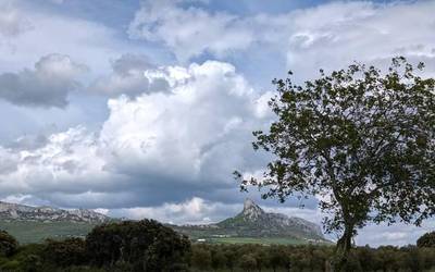 Zer egingo diogu ba…