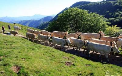 NPB-PAC dirulaguntzaren aldaketak azaltzeko batzarre informatiboak eginen ditu Baztango Udalak