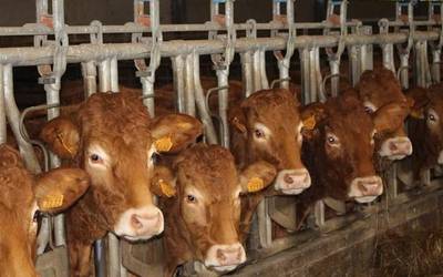 Gaitzekin bizitzeko erronka