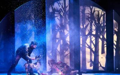 Laika lur hartzear da Baztartxon