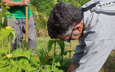 Eguaztenean ekingo diote Larrabetzun Gym Berdeari