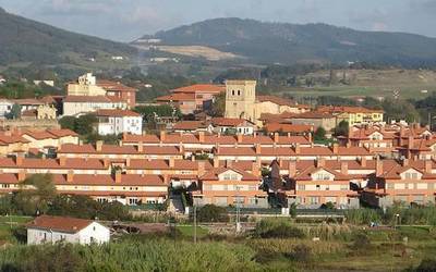 Kutsadura kontrolatzeko neurriak eskatu dituzte Erandion