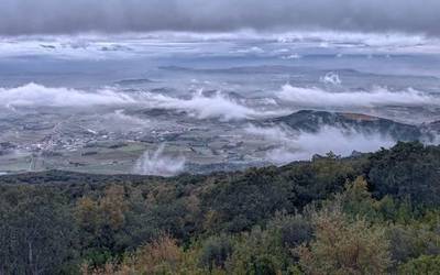 Tenperaturari eutsita