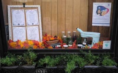 Bertaneko komertzioek erakusleihoak apaindu dituzte Emakume Zientzialarien Egunean