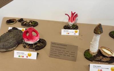 'Fungi? Onddo!' erakusketa; onddoen erreinura gerturatzeko aukera