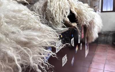 Narruek bizia hartu zutenekoa Bakaikun