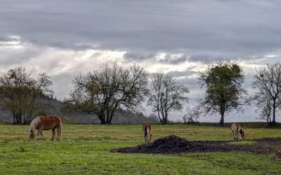 Goibel, baina argitzeko bidean