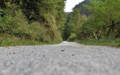 Urolako Trena probak boluntarioak behar ditu