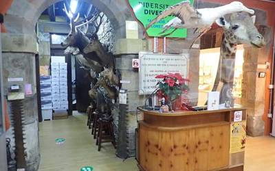 Mañariko Hontza museoak 2.200 bisitaritik gora jaso zituen 2025ean