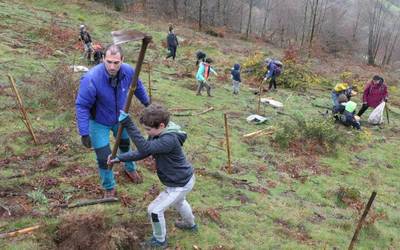 Korrika kulturalaren egitarauaren baitan egingo da aurtengo Zuhaitz Eguna