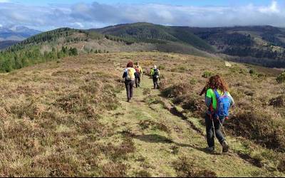 Gatza Trail-eko ibilbidea egingo dute domekan, entrenamendu gisa