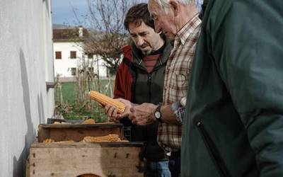 «Gibelean duen historiak definitzen du arto barietate bakoitza»