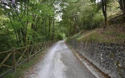 Trenaren mendeurrenean, maratoi erdia