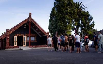 Maoritasuna berreskuratuz