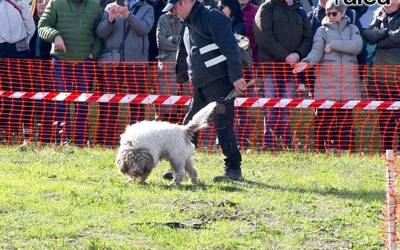 Boilurraren usainak milaka lagun elkartu ditu